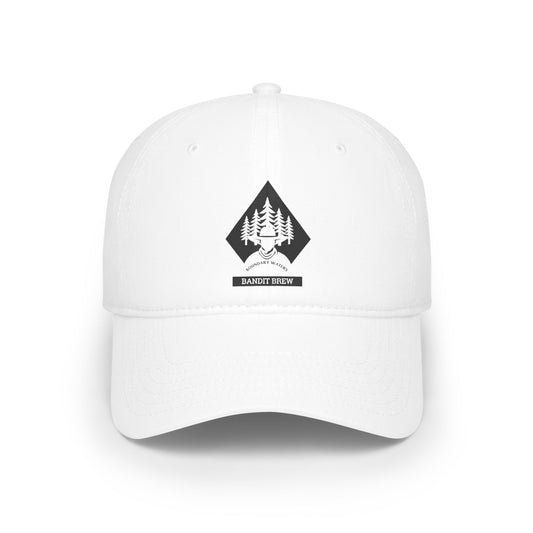 Low Profile Baseball Cap